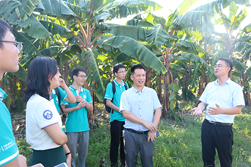 插图4周书记带领同学参观红皮香蕉种植基地.png