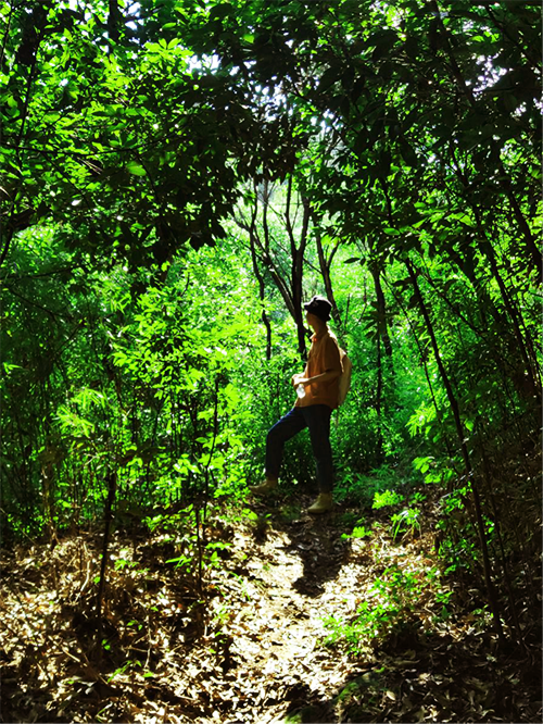 1591932955566549.png 图片3.png