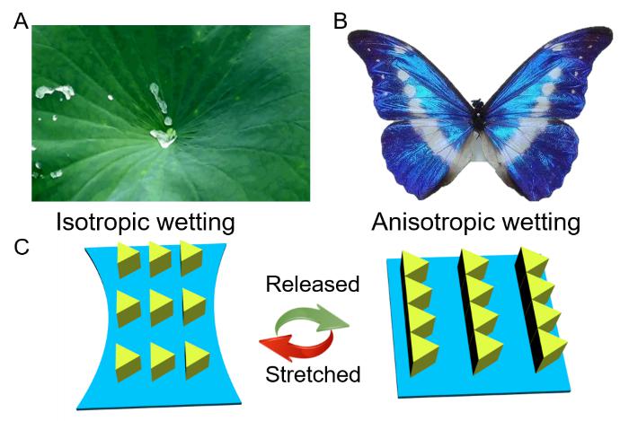 1596214608878436.jpg 图片1.jpg